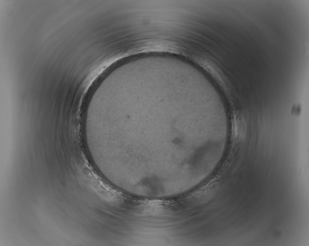 X0000115320828200911161743