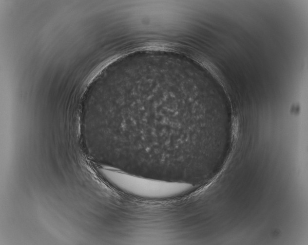 X0000115320829200911161743