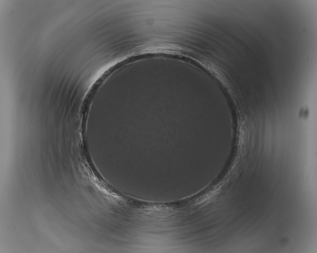 X0000115320830200911161743