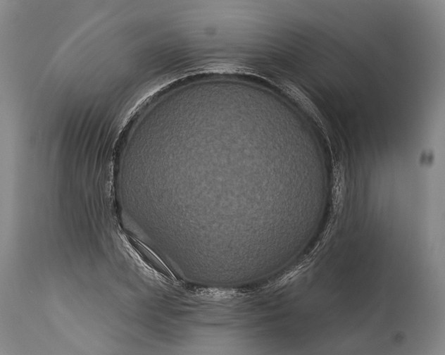 X0000115320831200911161743