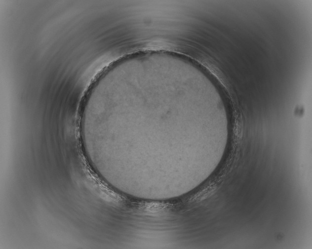 X0000115320832200911161743