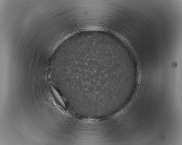 X0000115320833200911161743