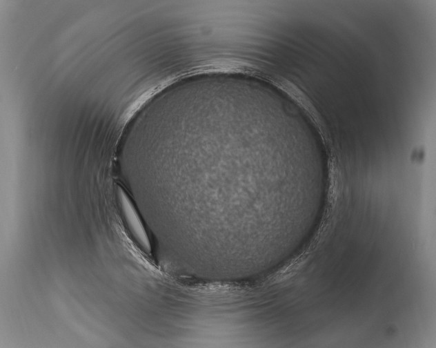 X0000115320834200911161743