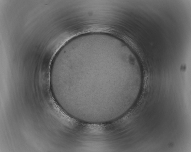 X0000115320836200911161743