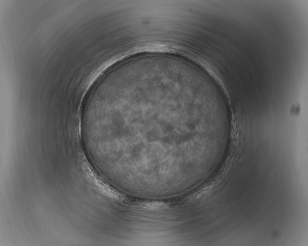 X0000115320837200911161743