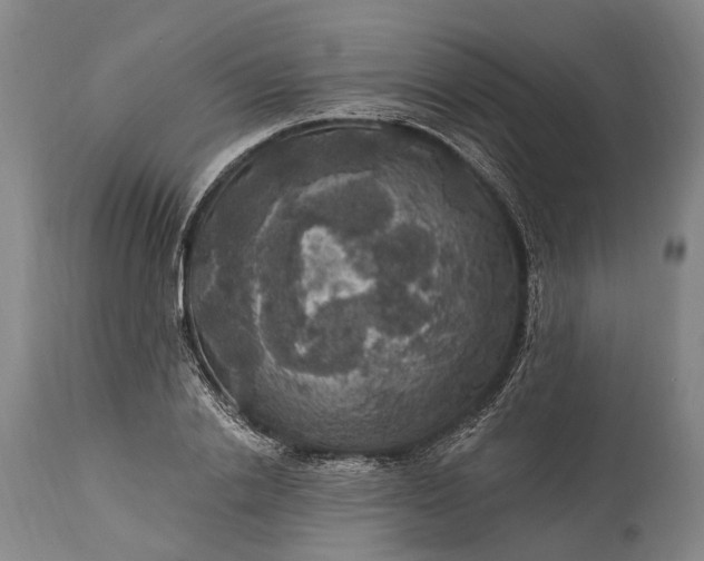 X0000115320838200911161743