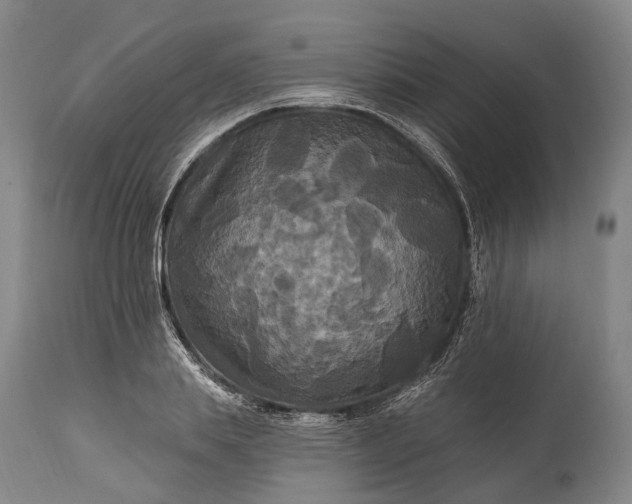 X0000115320839200911161743