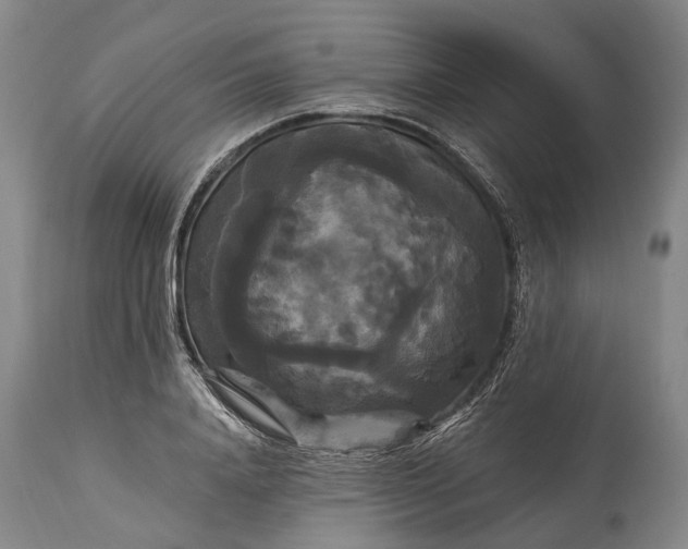 X0000115320840200911161743