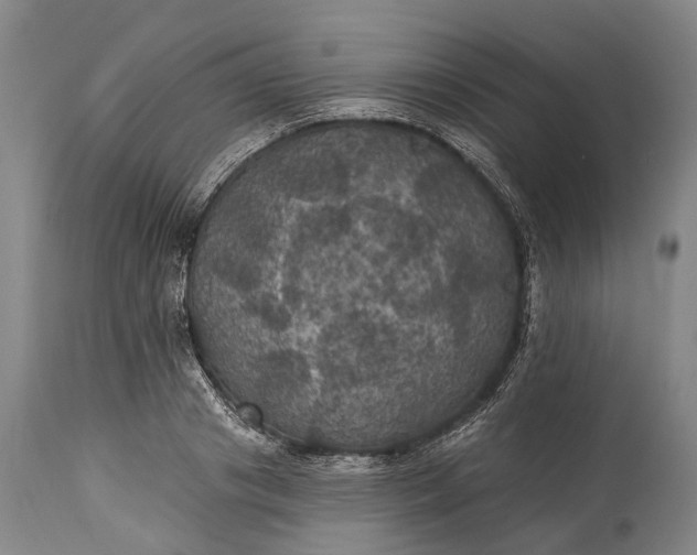 X0000115320841200911161743