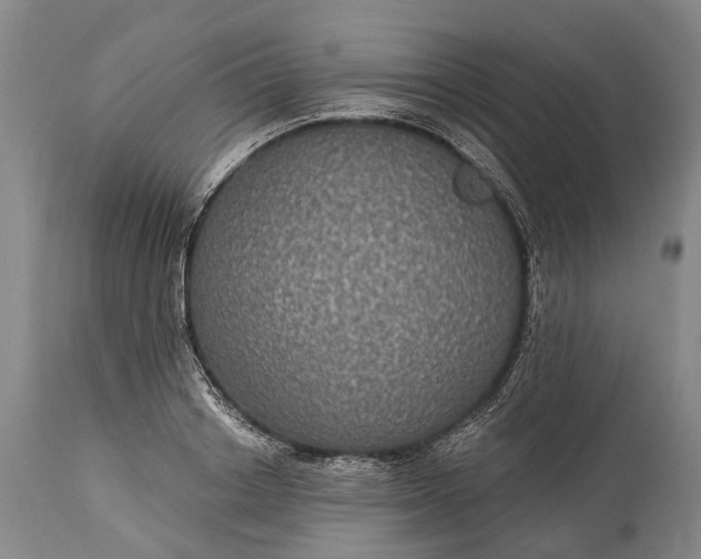 X0000115320842200911161743