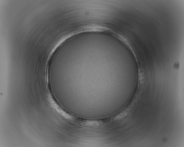 X0000115320843200911161743