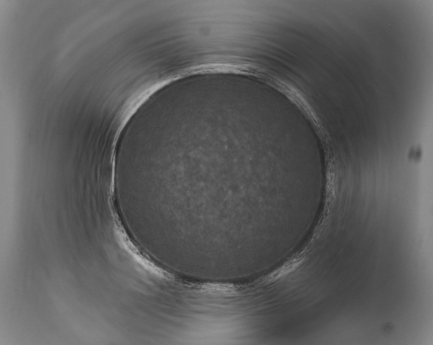 X0000115320844200911161743