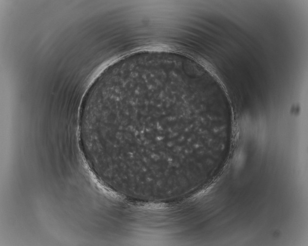 X0000115320845200911161743