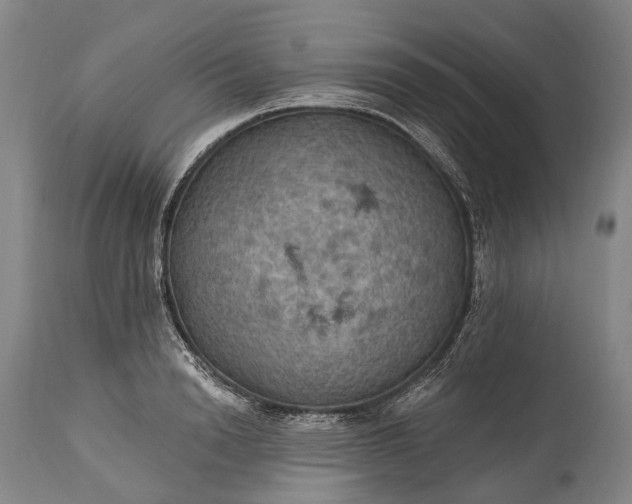 X0000115320846200911161743