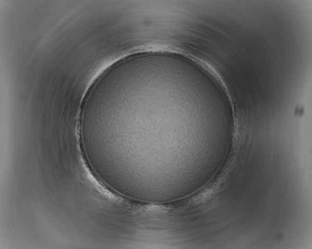 X0000115320847200911161743