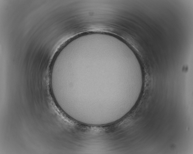 X0000115320848200911161743