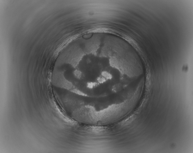 X0000115320849200911161743