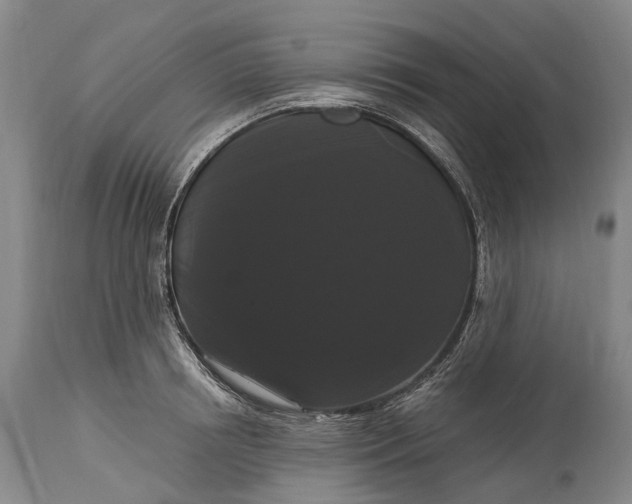 X0000115320850200911161743