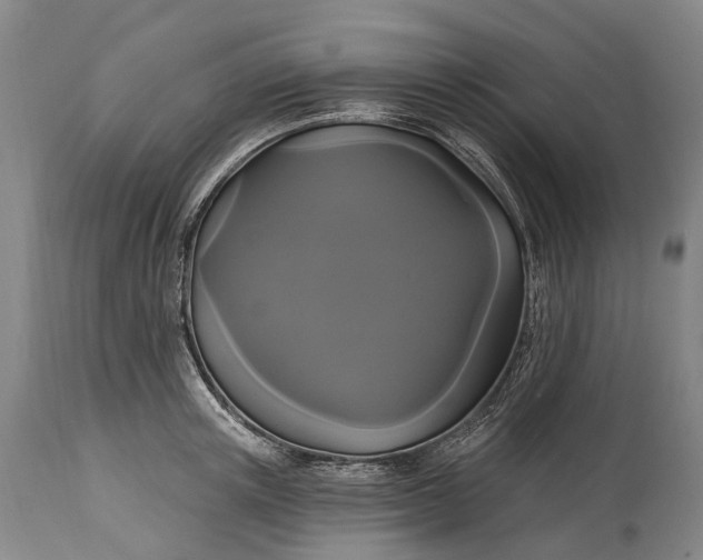 X0000115320851200911161743