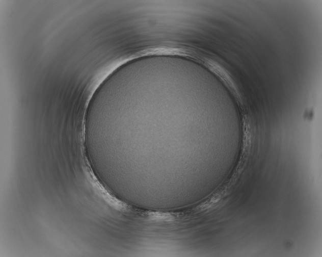 X0000115320852200911161743