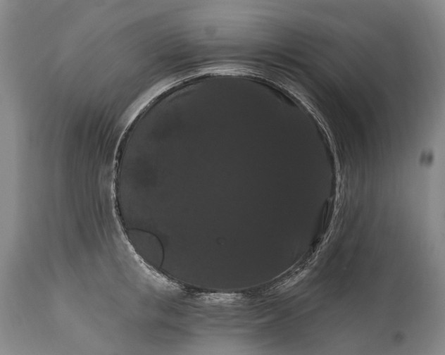 X0000115320853200911161743