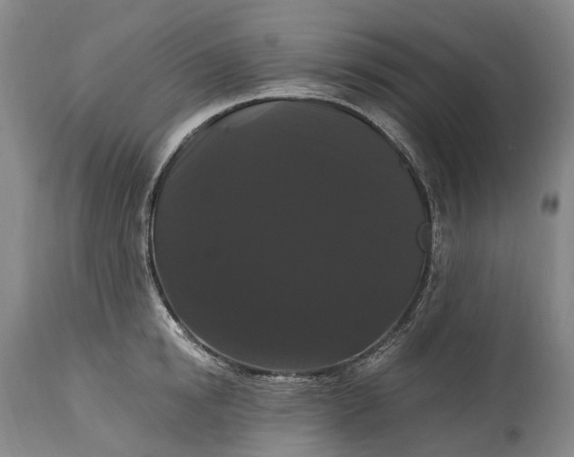 X0000115320854200911161743