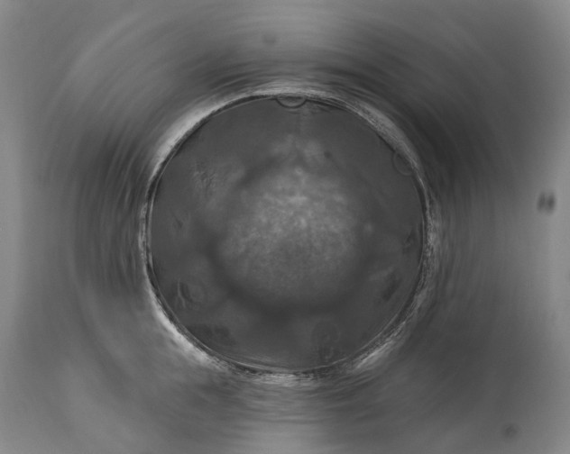 X0000115320855200911161743