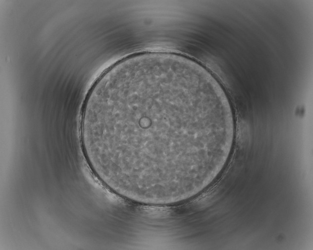 X0000115320856200911161743