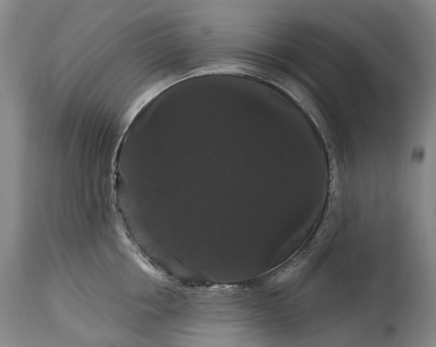 X0000115320858200911161743