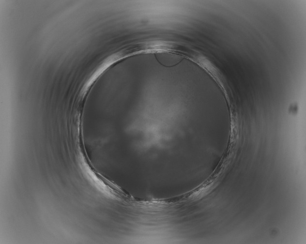 X0000115320859200911161743