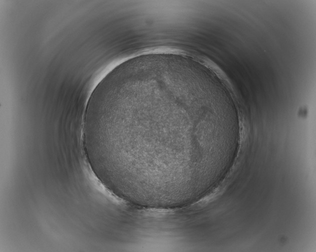 X0000115320860200911161743