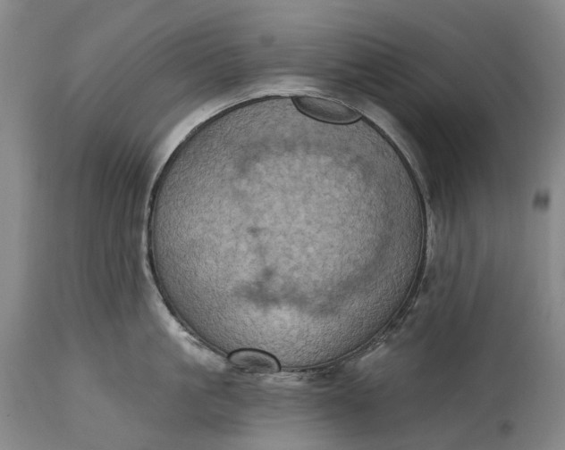 X0000115320861200911161743