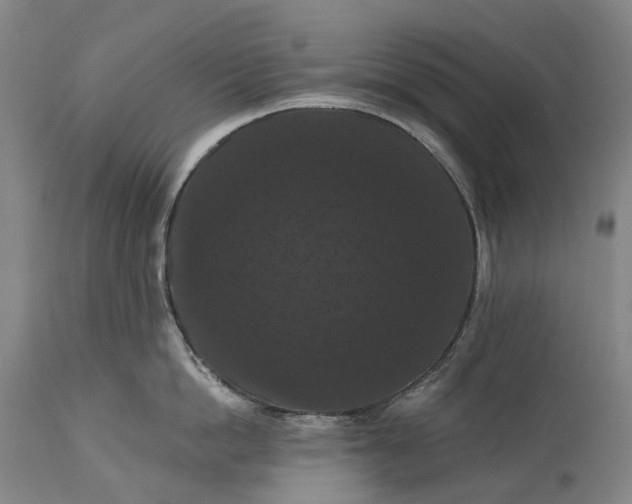 X0000115320862200911161743