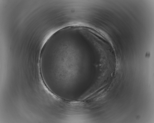 X0000115320863200911161743