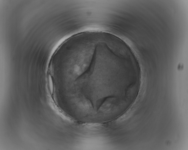 X0000115320864200911161743