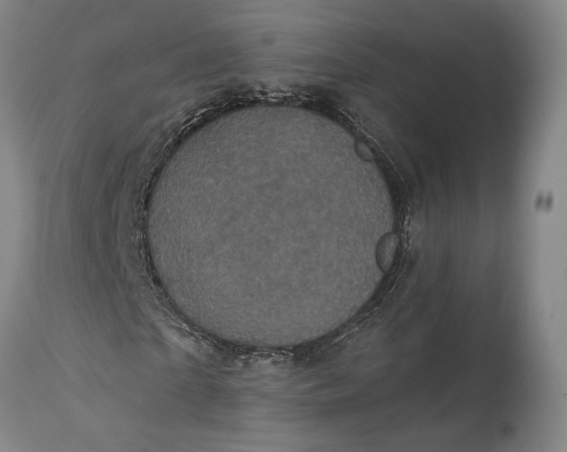 X0000115320865200911161743