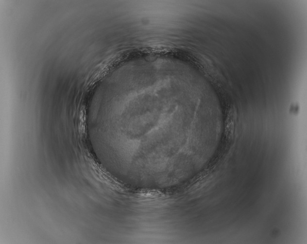 X0000115320866200911161743