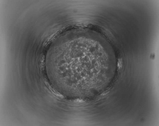 X0000115320867200911161743