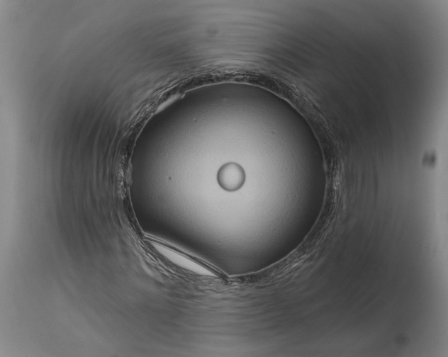 X0000115320868200911161743