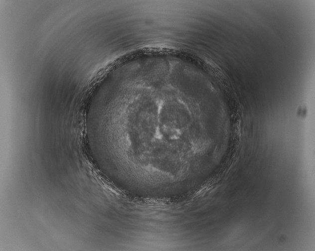 X0000115320870200911161743