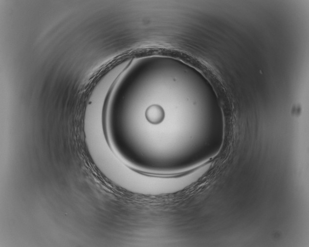 X0000115320872200911161743