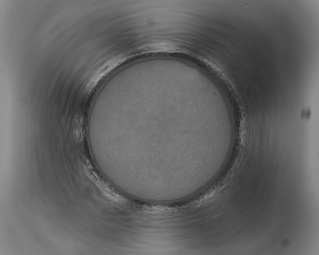 X0000115320873200911161743