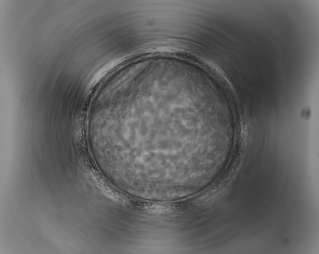 X0000115320874200911161742