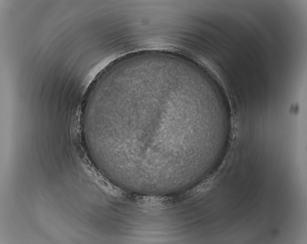 X0000115320875200911161742