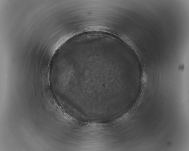 X0000115320877200911161742