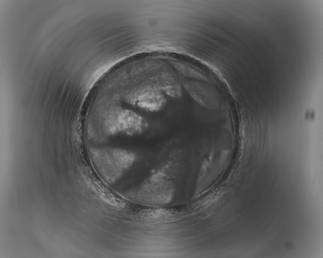 X0000115320879200911161742