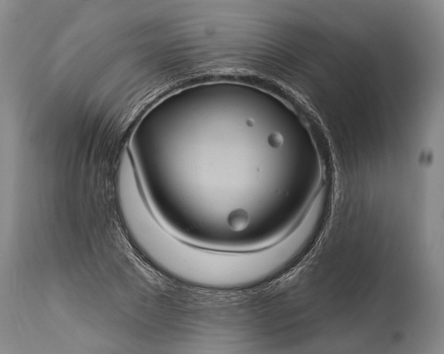 X0000115320881200911161742