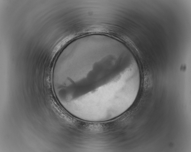 X0000115320882200911161742