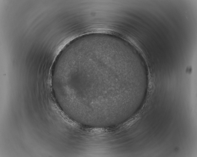 X0000115320883200911161742