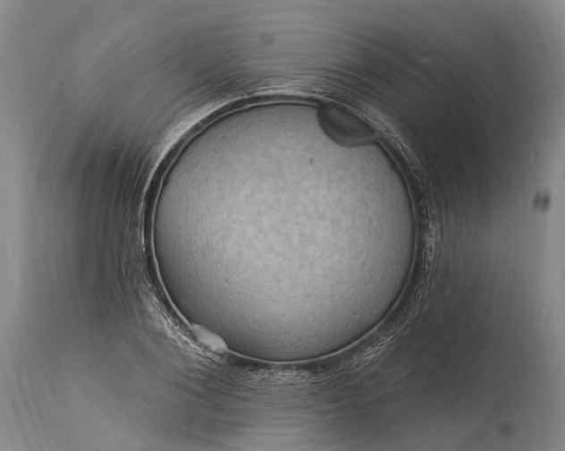 X0000115320884200911161742